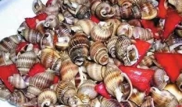 椒江吃瓜最新事件爆料,揭秘背后惊人真相！